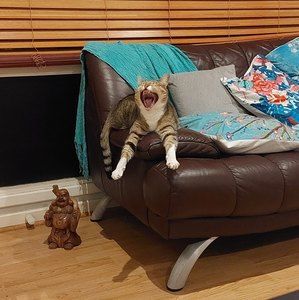 Meet your Posher, Emma